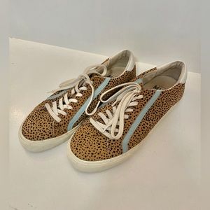 Madewell Sidewalk Low Top Sneakers